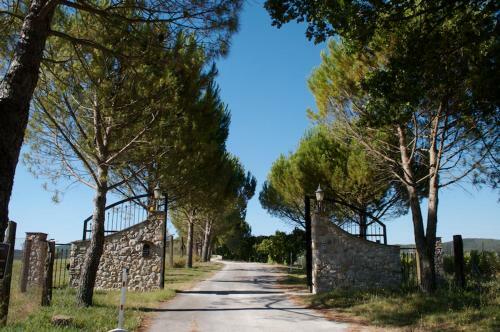 Agroturismo Fattoria Collepina