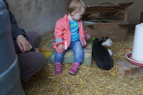 Agroturismo Bio-erlebnisbauernhof Doll