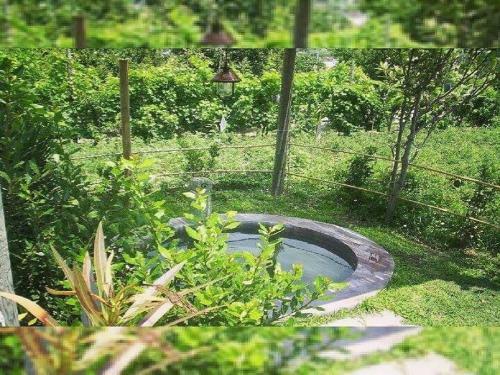 Apartamento Appartamenti Le Buganville