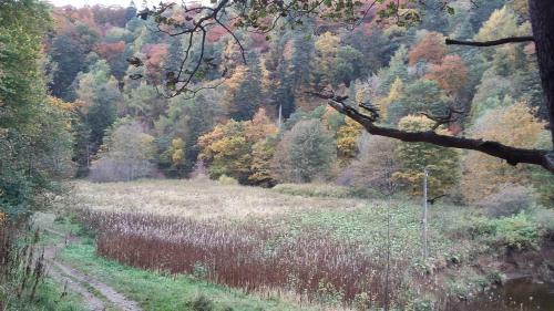 Tweed View B&B