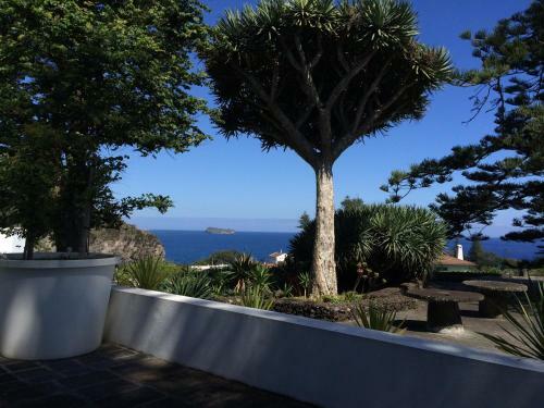 Living Azores Casa Do Monte