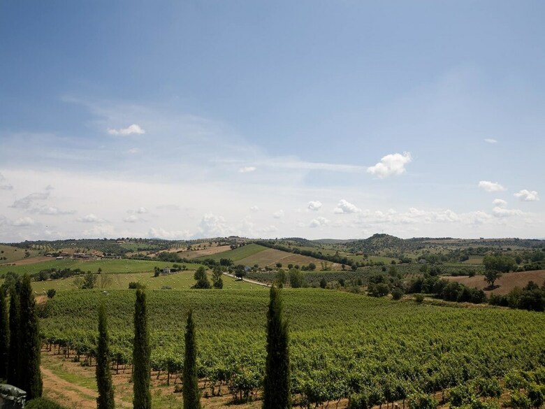 Agroturismo Agriturismo Boschetto Di Montiano