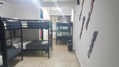 Albergue Hostal Loco Coco Loco