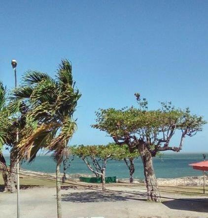 Hotel H�tel Des Amandiers