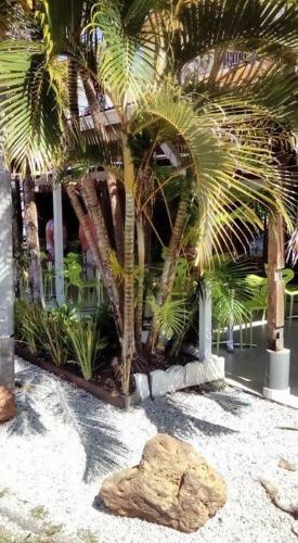 Hotel H�tel Des Amandiers