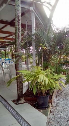 Hotel H�tel Des Amandiers