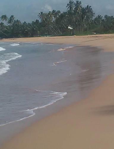 Brian's Homestay Balapitiya