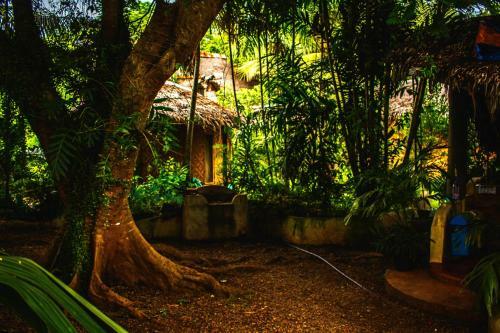 Albergue Lennon's Place
