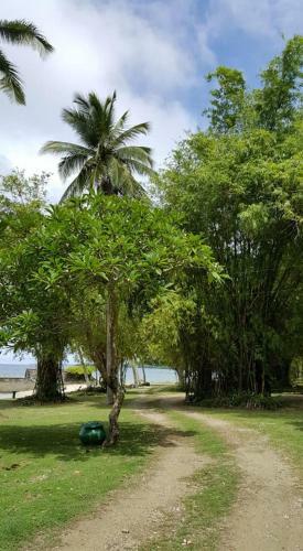 Hotel Costa Aguada Island Resort