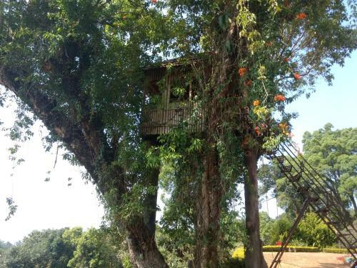 Agroturismo Kollenkeril Plantation Bungalow