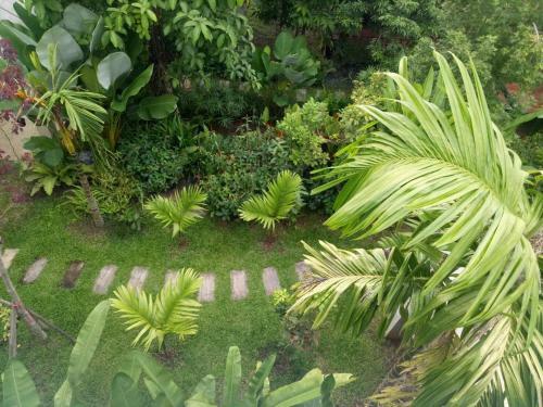 Hostal Bura Phat Resort