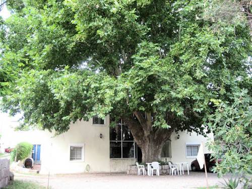 Bed & Breakfast Posada Del Arbol