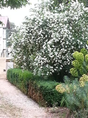 Agroturismo Jolly Painter Bed And Breakfast