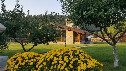 Gostnici Holiday Home