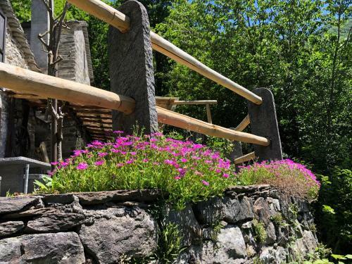 C� Dal Bosc E C� Sgr�scia