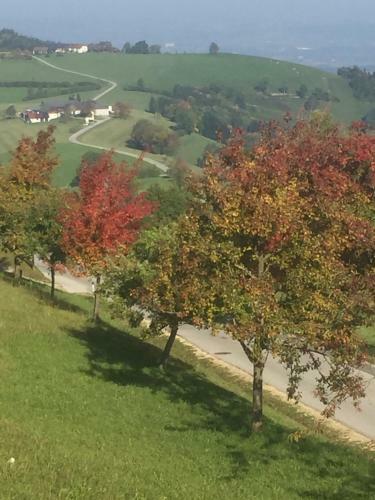 Apartamento Ferienwohnungen K�ssl