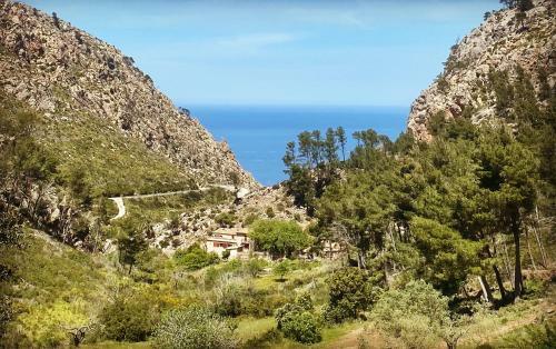 Hostal Finca Ses Fontanelles