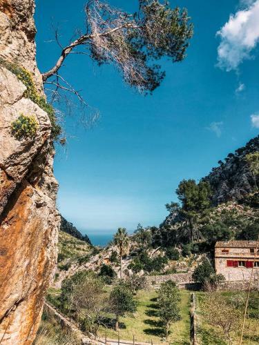Hostal Finca Ses Fontanelles