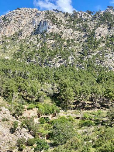 Hostal Finca Ses Fontanelles