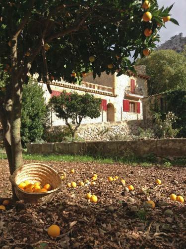 Hostal Finca Ses Fontanelles