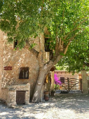Hostal Finca Ses Fontanelles