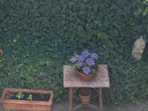 Hotel Szent Anna Panzi�