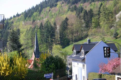 Apartamento G�stehaus Zum L�wen
