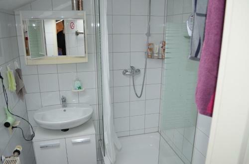 Apartamento G�stehaus Zum L�wen