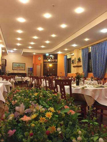Hotel Belvedere