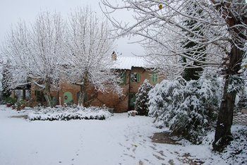 Agroturismo Tenuta Il Pino
