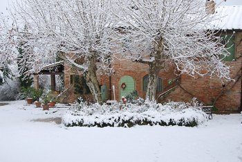 Agroturismo Tenuta Il Pino