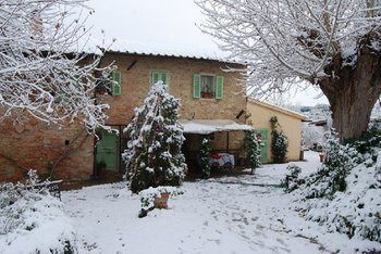 Agroturismo Tenuta Il Pino