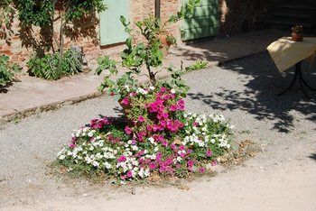Agroturismo Tenuta Il Pino