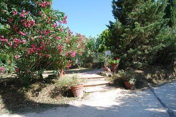 Agroturismo Tenuta Il Pino