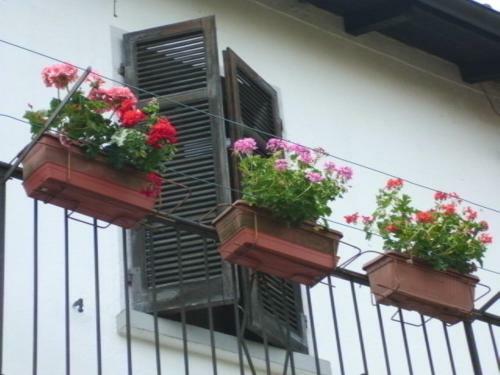 B&B Al Mutpron