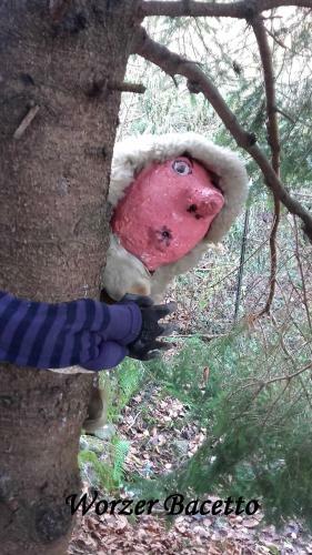 B&B Al Mutpron