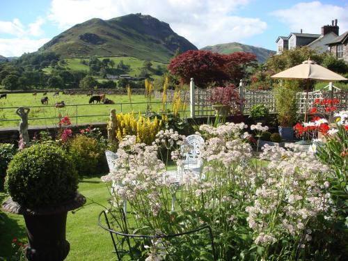 Bed & Breakfast Raise View House