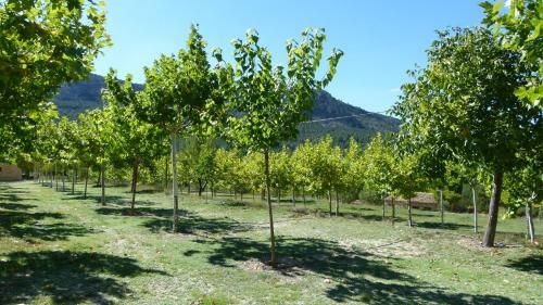 Albergue Cortijo Covaroca