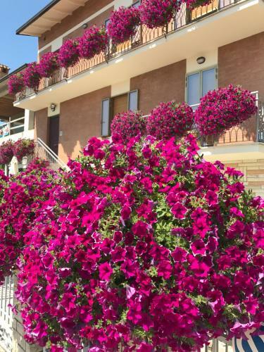 Apartamento La Signora Dei Fiori