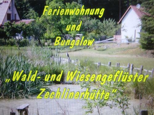 Apartamento Wald&wiesengefl�ster Zechlinerh�tte