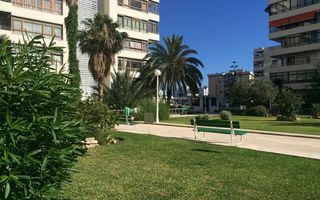 Nogalera Boutique Apartment