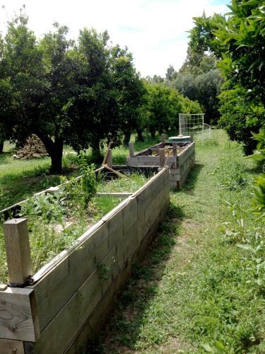 Agroturismo Luna&limoni Country