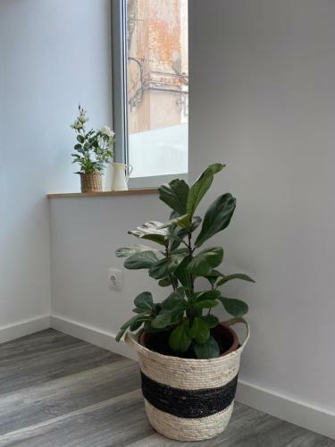 Apartamento Valentinaplace