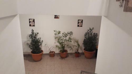 Hostal Casa Dobrescu Centura De Nord