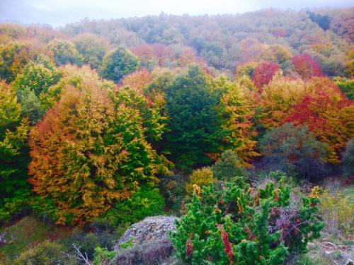 Bed & Breakfast La Alpargateria