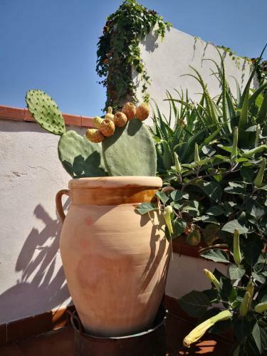 Hostal Guest House Villa Ziella