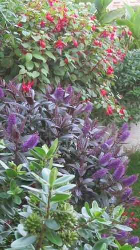 Bed & Breakfast Bosayne Guest House