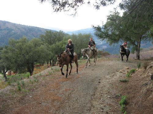 Hotel Hospeder�a Las Buitreras