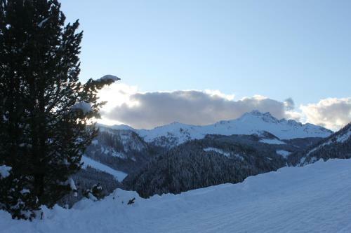 Hotel Chalet Rikheland