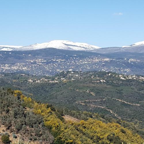 Bed & Breakfast Villa Des Oliviers